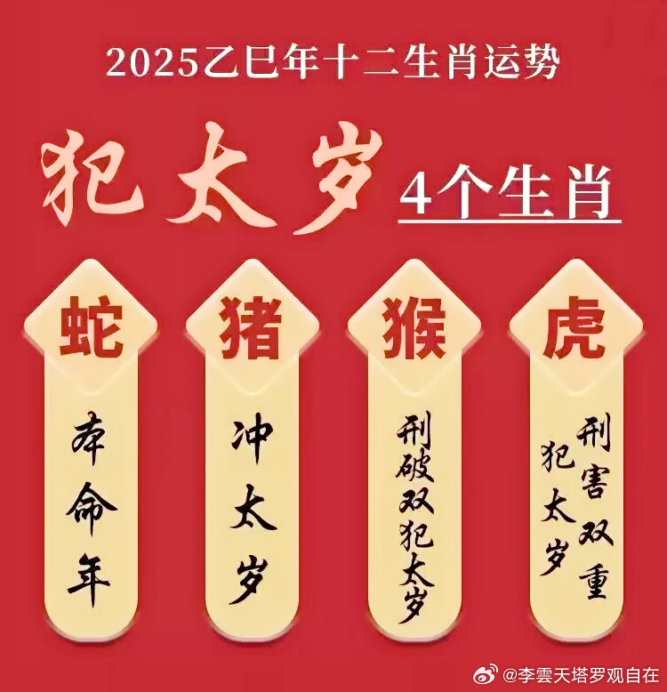 2025今晚必中必开一肖，全面诠释、解释与落实 解析与释义
