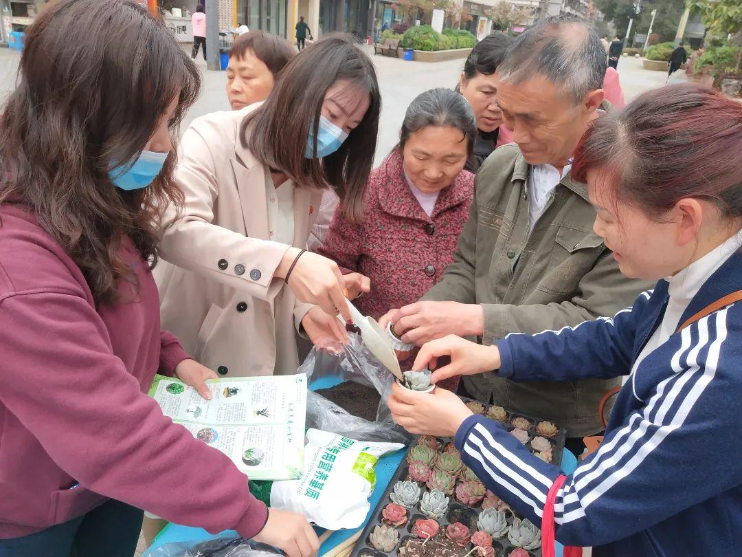 2025精准免费资料大全,详细解答、解释与落实 解析与释义